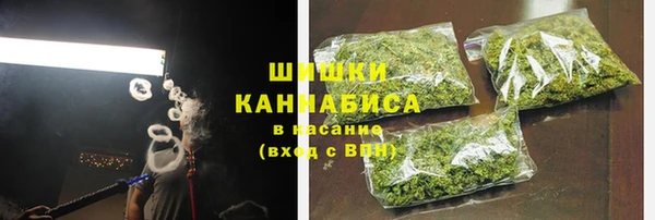спиды Болотное
