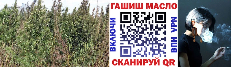 Дистиллят ТГК THC oil  Староминская 