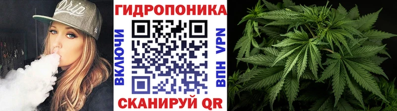 МАРИХУАНА SATIVA & INDICA Староминская